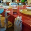 20180816_111040